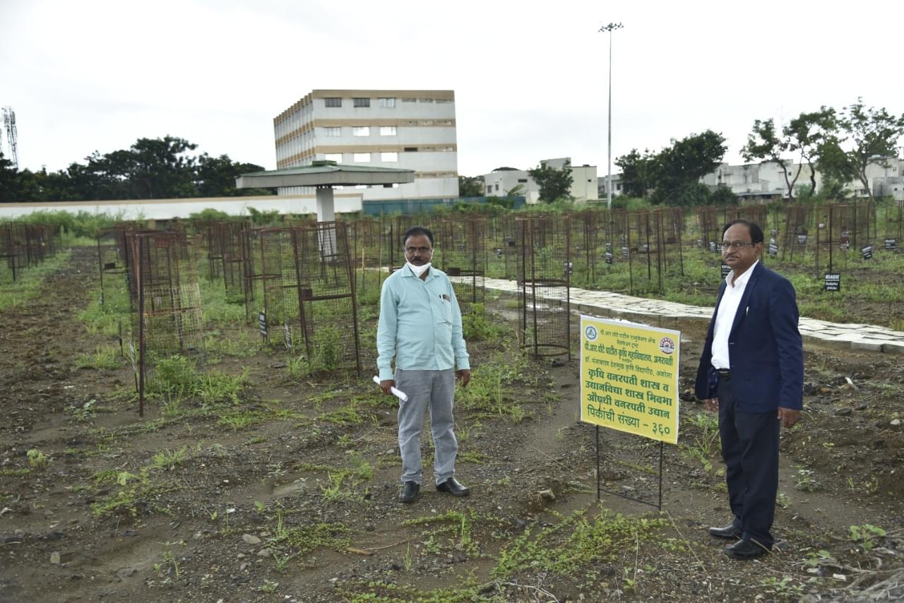 P. R. Pote Patil College of Agriculture Amravati Campus photo 6